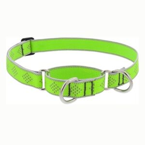 NWT Lupine Reflective Martingale Dog Collar, 15-22"